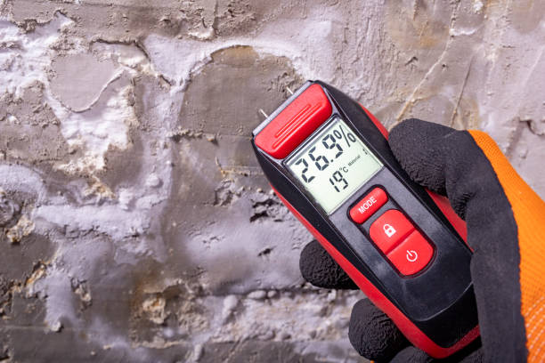 Best Post-Flood Mold Remediation in Meggett, SC
